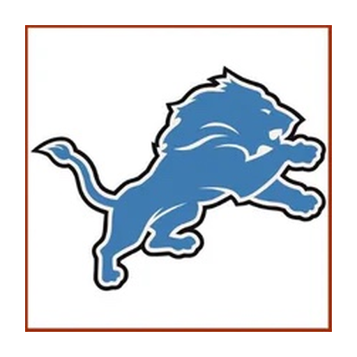Detroit Lions